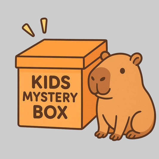 Kids Mystery Box